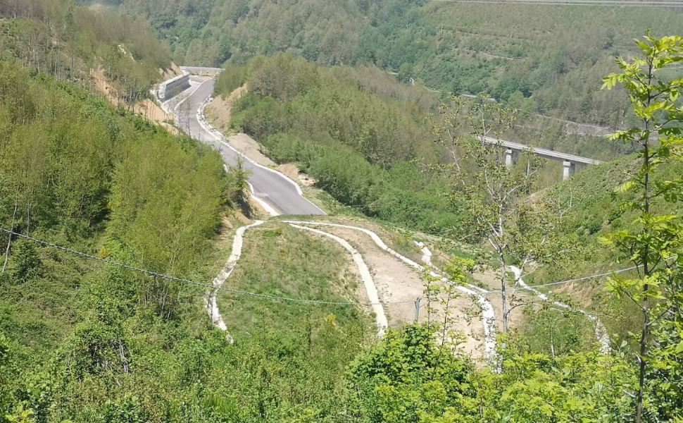 superstrada-medio-savuto