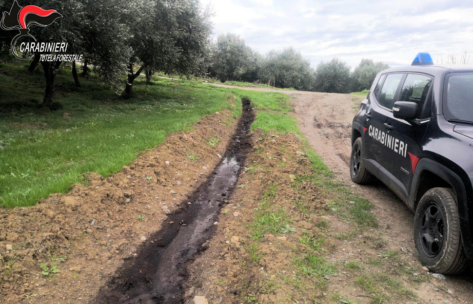 Carabinieri Forestale frantoio