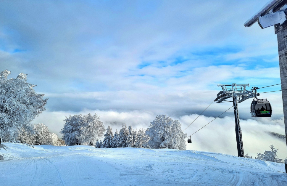 Lorica piste da sci Botte Donato