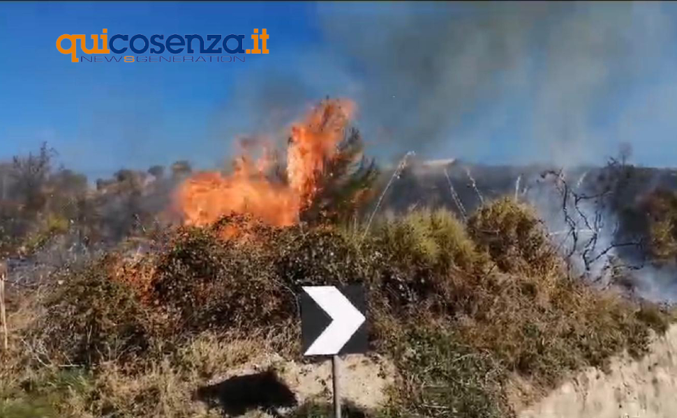 incendio monte iotta cassano ionio