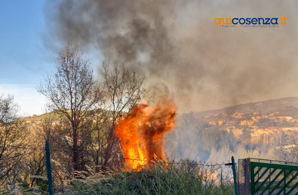 Incendio Rende collina