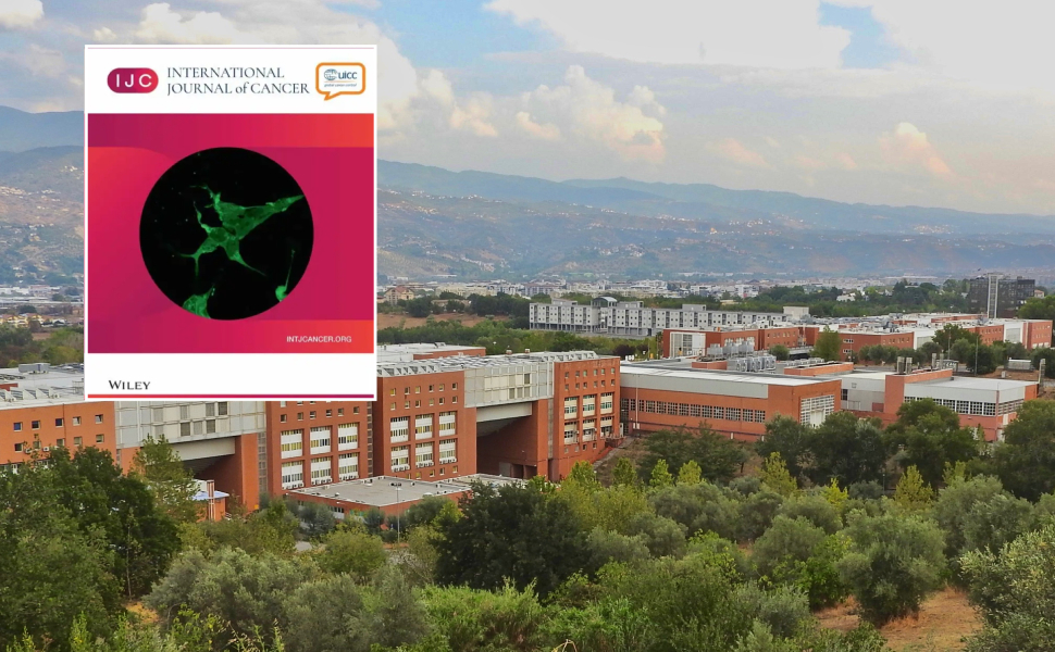 Unical_Rende International JournaI of Cancer