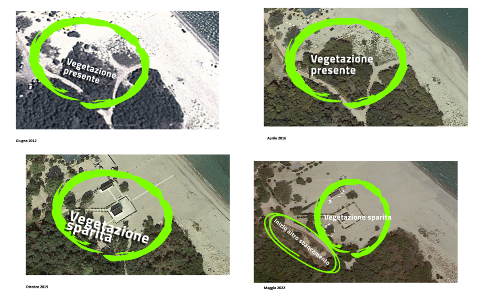 marina di sibari - vegetazione denuncia papasso