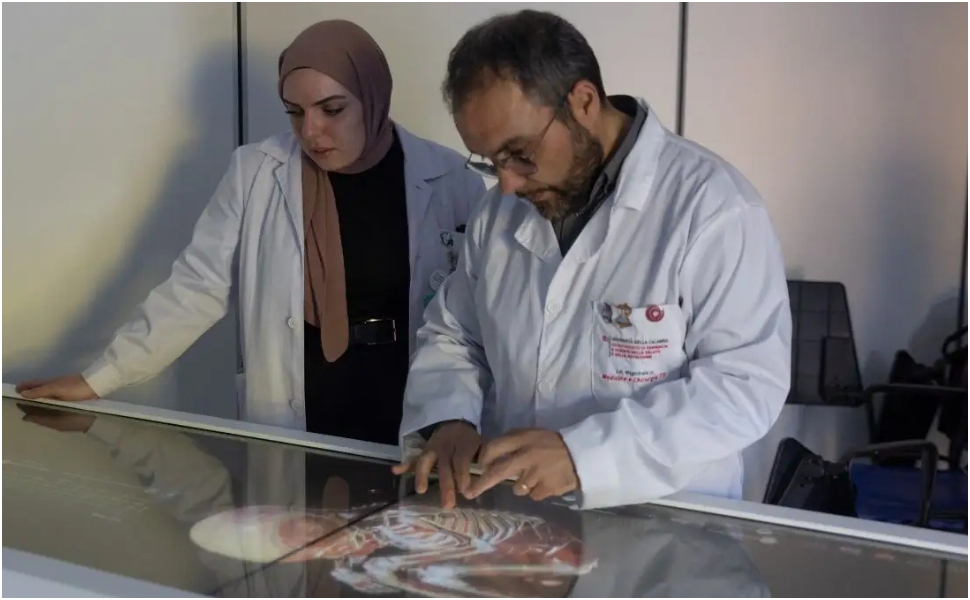 Medicina-e-Chirurgia-TD-UNICAL