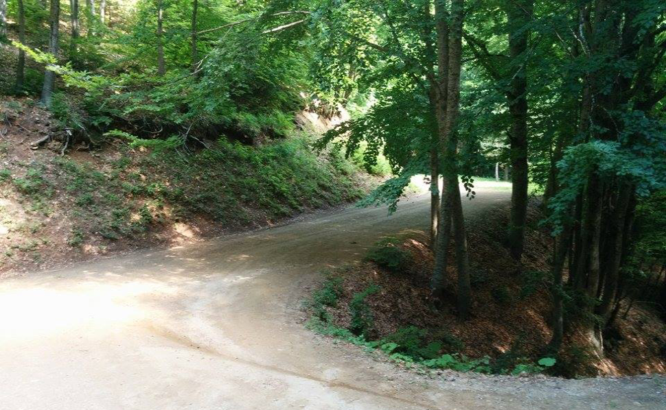 foresta incantata montescuro