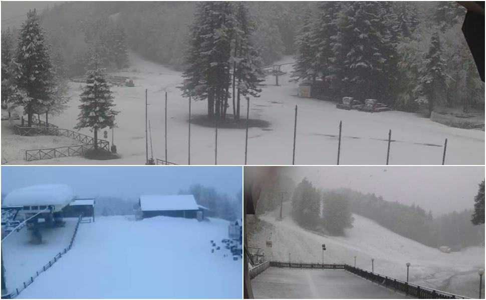 Neve Sila freddo artico