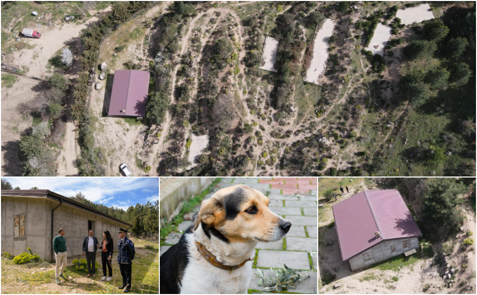 Oasi Canina San Giovanni in Fiore