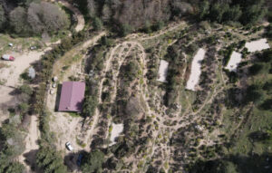 Oasi Canina San Giovanni in Fiore3