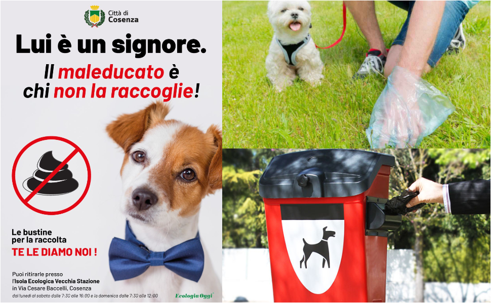 Deiezioni canine Cosenza campagna