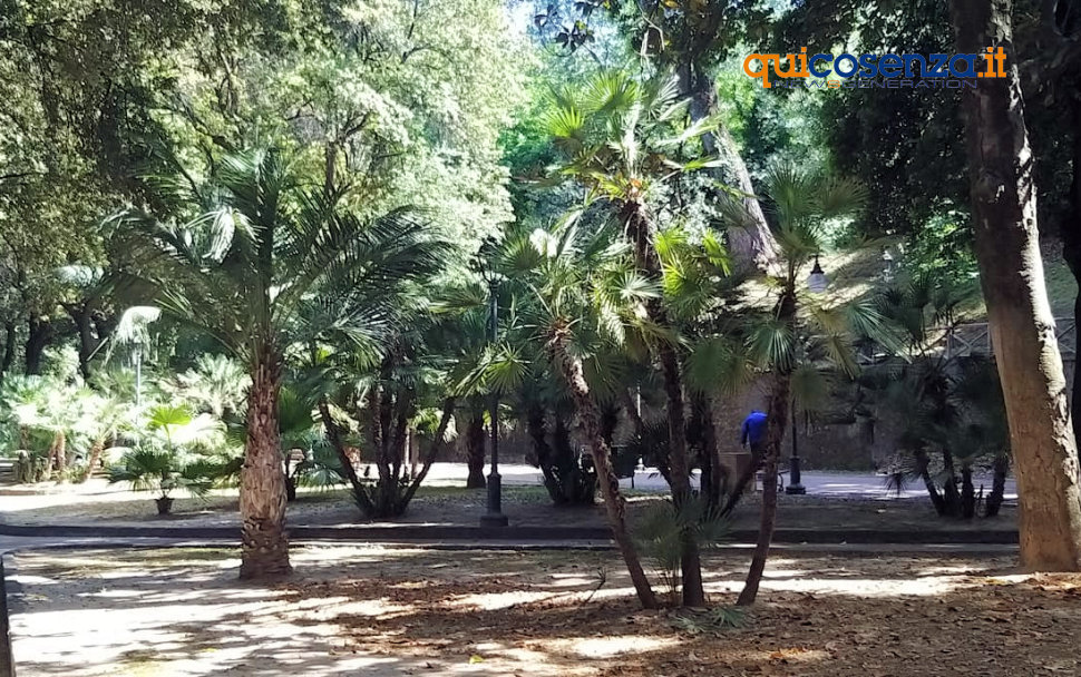 Villa Vecchia Cosenza alberi