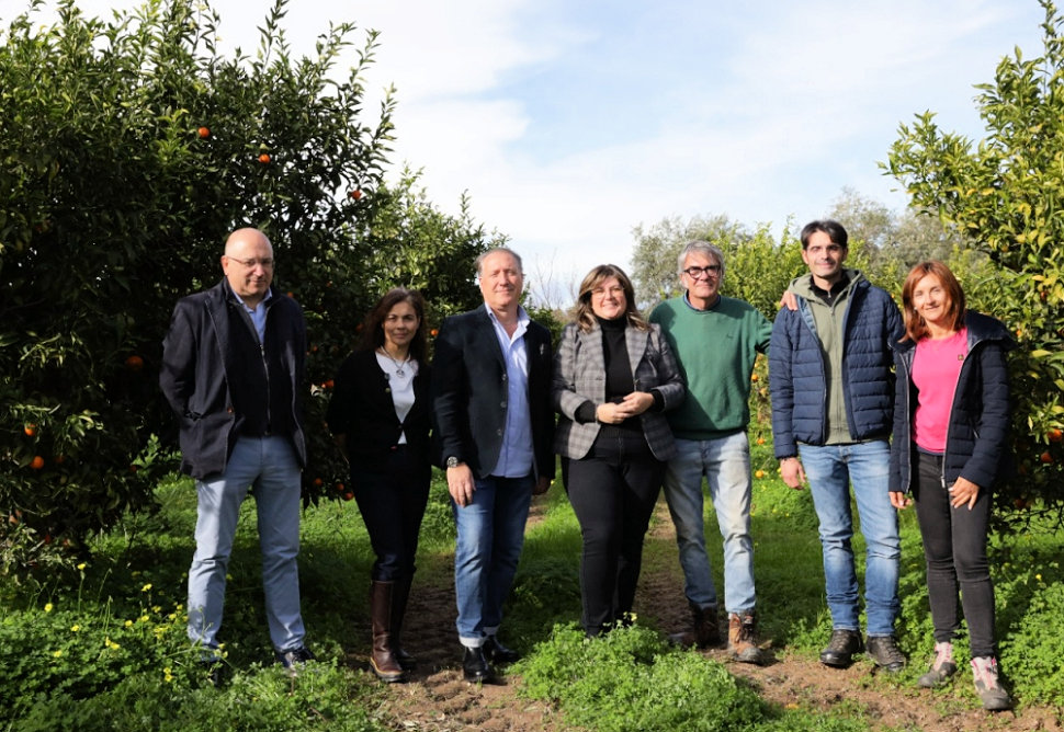 consorzio igp - componenti clementine di Calabria