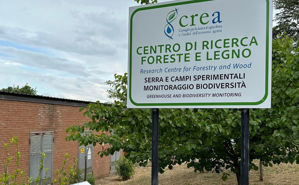 tartufaia CREA Rende