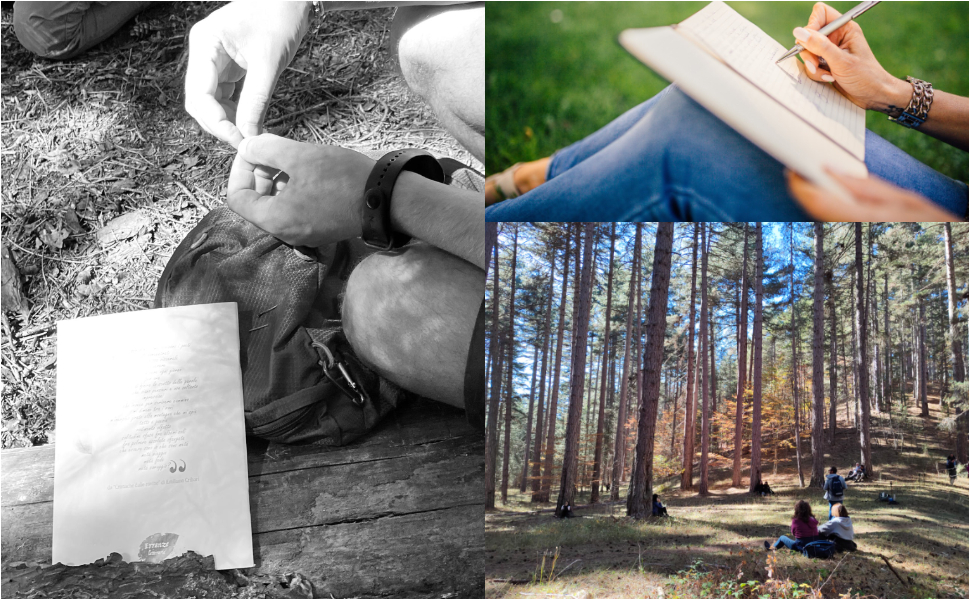 Camigliatello Haiku poesia e natura