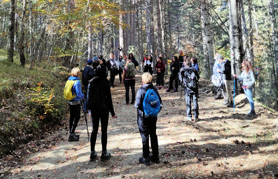 Poesia lettura natura