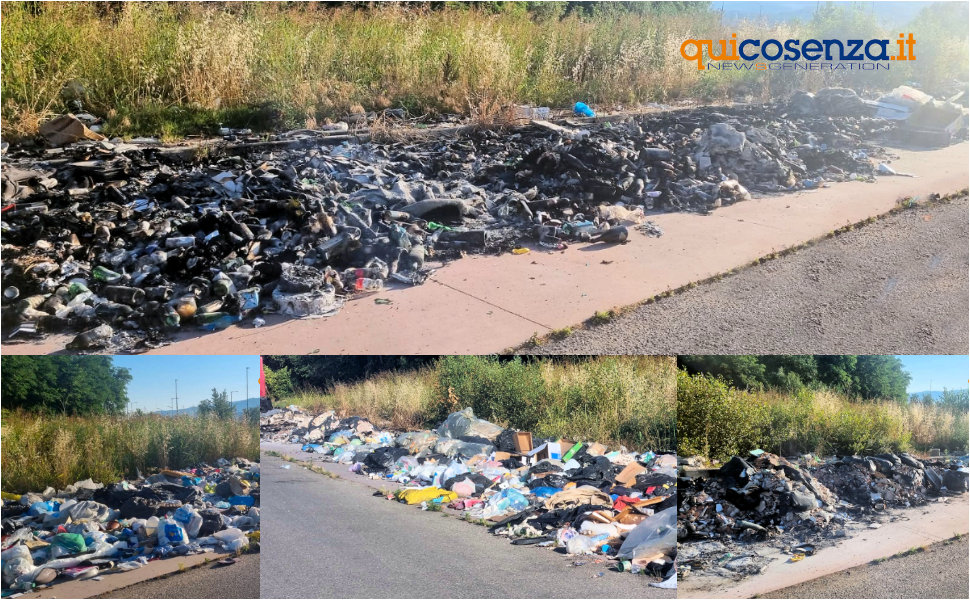 Rende Rifiuti discarica a cielo aperto Viale Principe