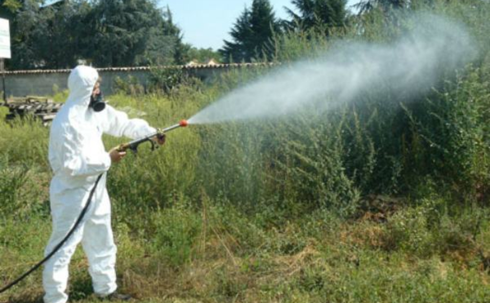 disinfestazione-Cosenza