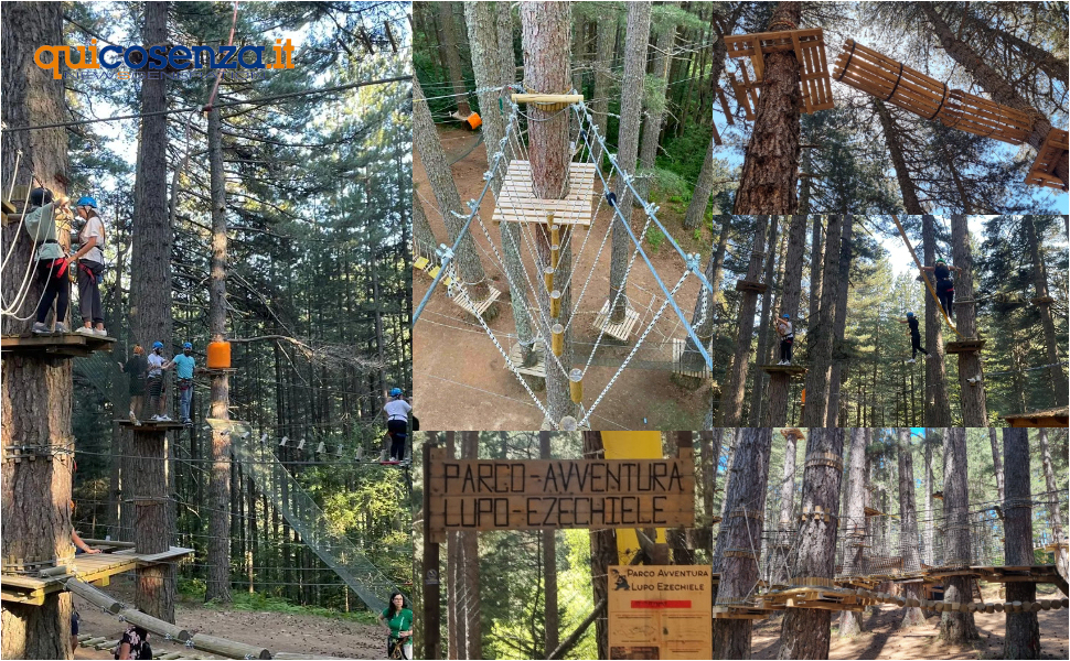 Parco Avventura Lupo Ezechiele Sila Camigliatello