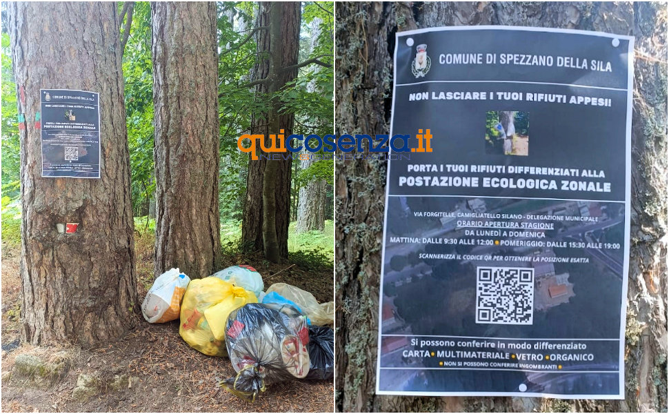 Rifiuti Tasso Sila Camigliatello
