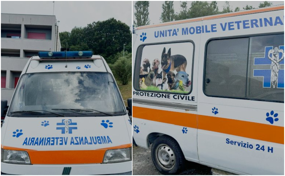 ambulanza veterinaria aquile