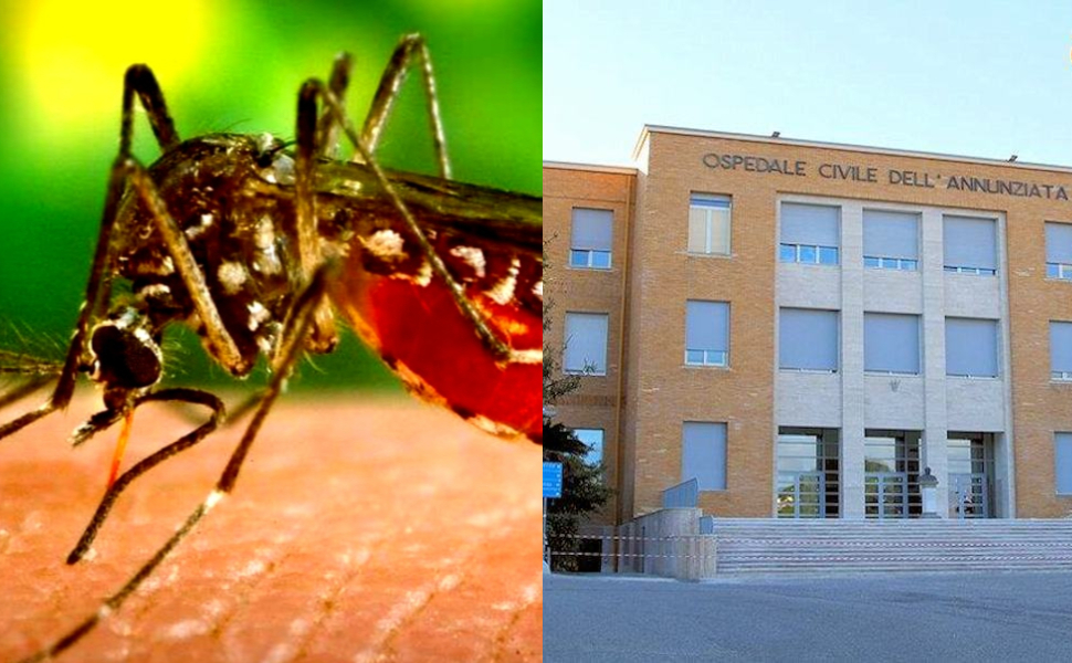 West-Nile-Annunziata