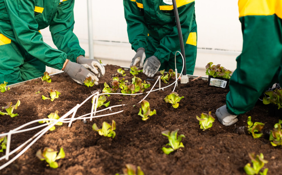 agricoltura-sociale_detenuti