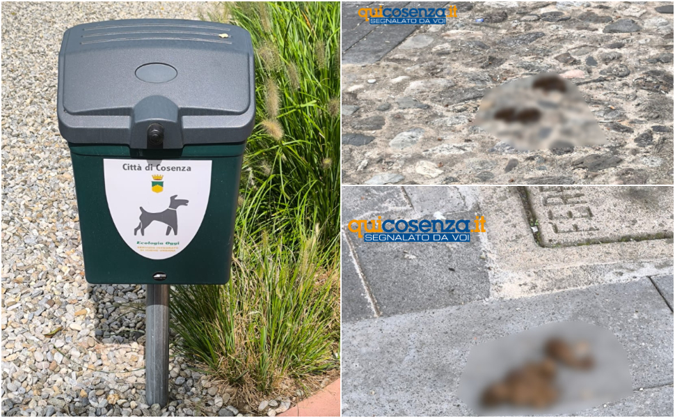 Deiezioni Canine Cosenza