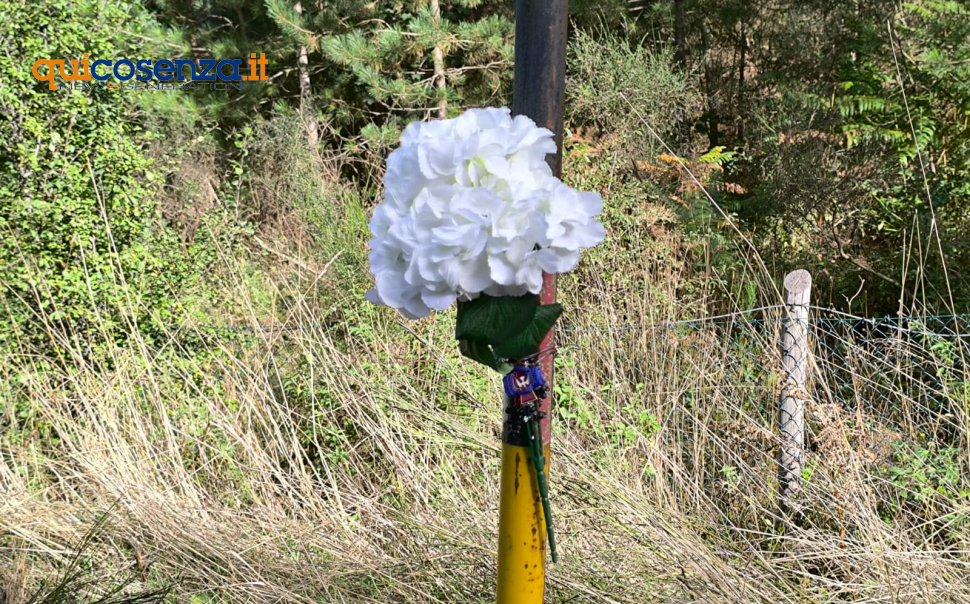 Ilaria Mirabelli Fiori