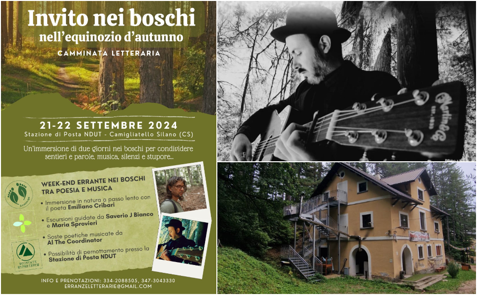 Invito nei boschi copertina