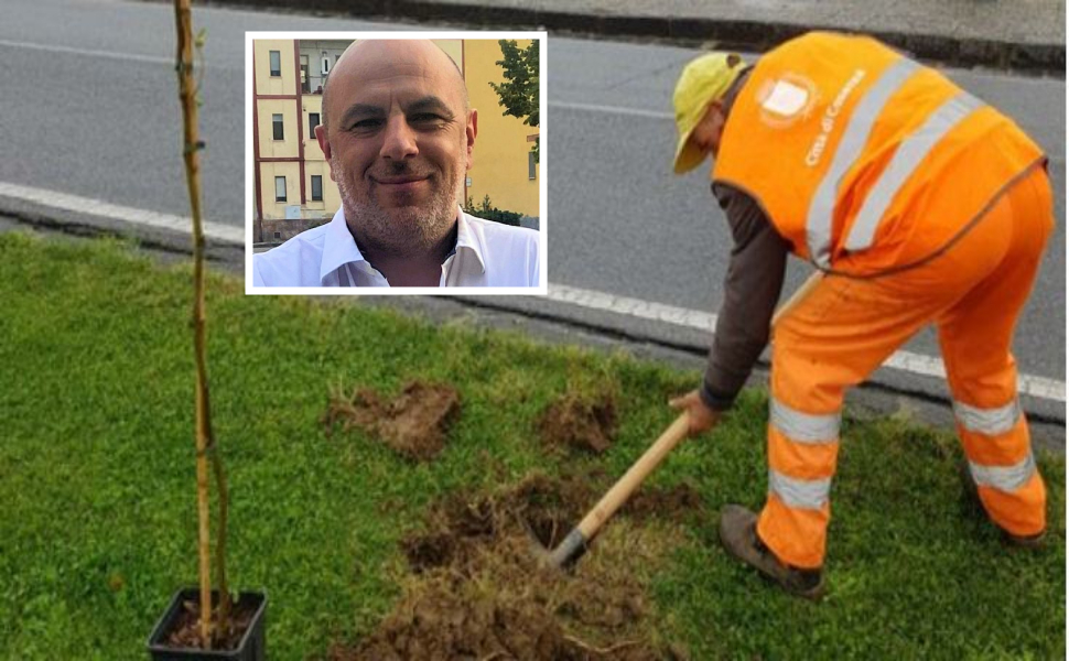 piantumazione-alberi_