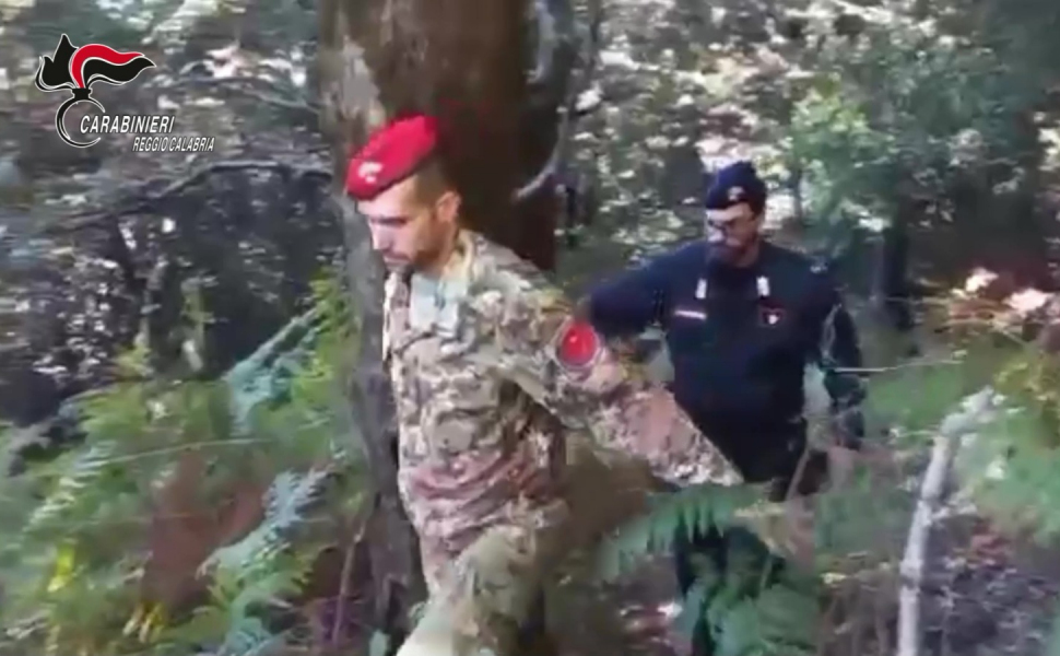 Carabinieri canapa