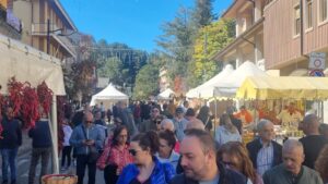 Sagra del fungo Camigliatello_2024__3