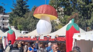 sagra del fungo 2024_4