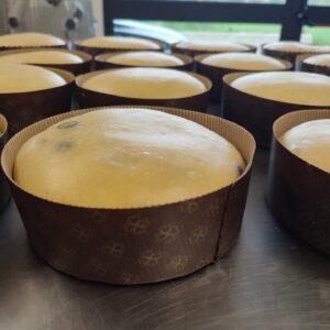 Panettoni preparazione