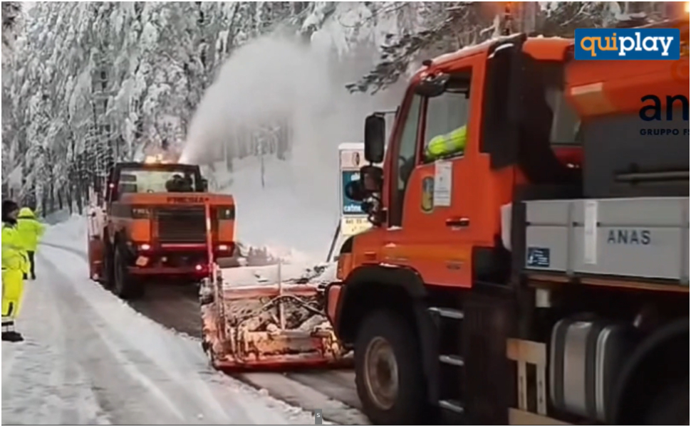neve-e-alberi-nel-cosentino