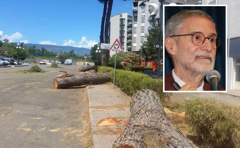 Alberi-Rende ferdinando laghi