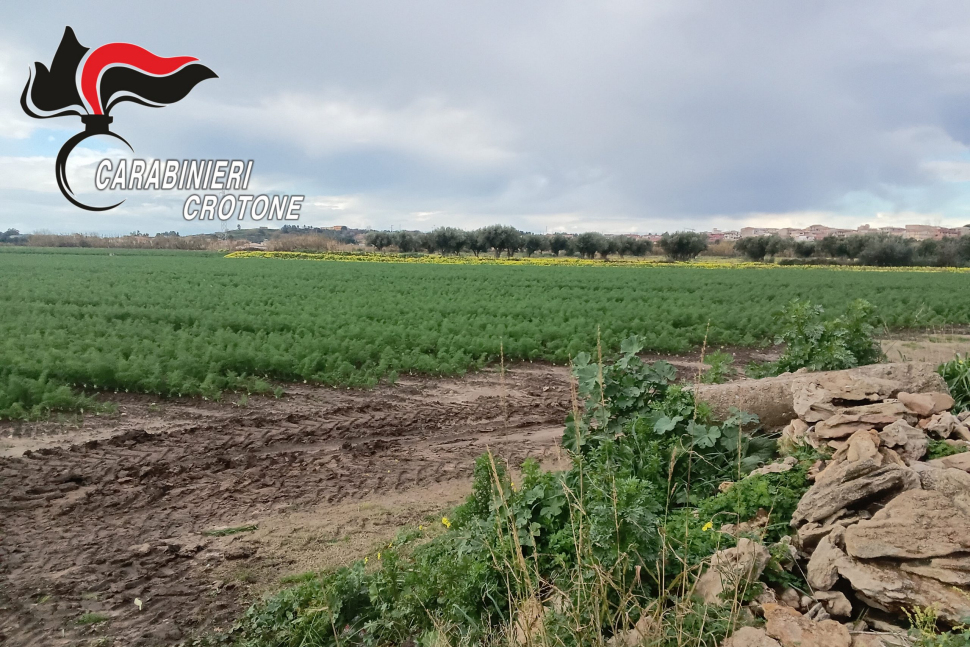 Allacci abusivi acqua Crotonese2