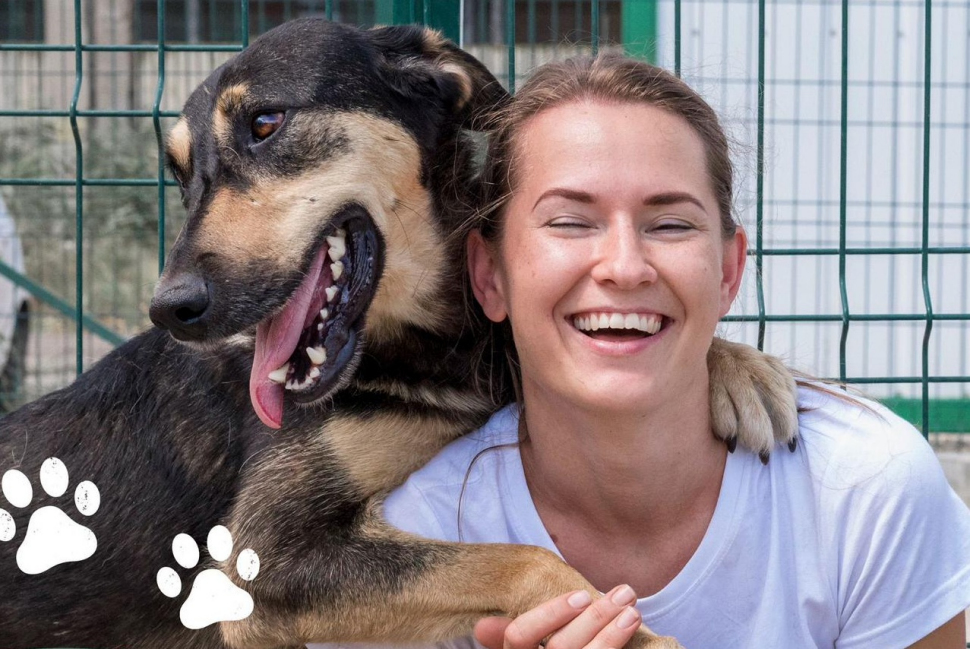 Cani amici a 4 zampe