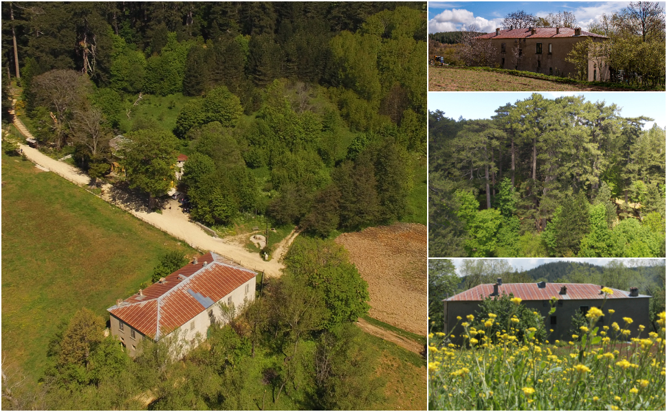 Casino Mollo Giganti della Sila