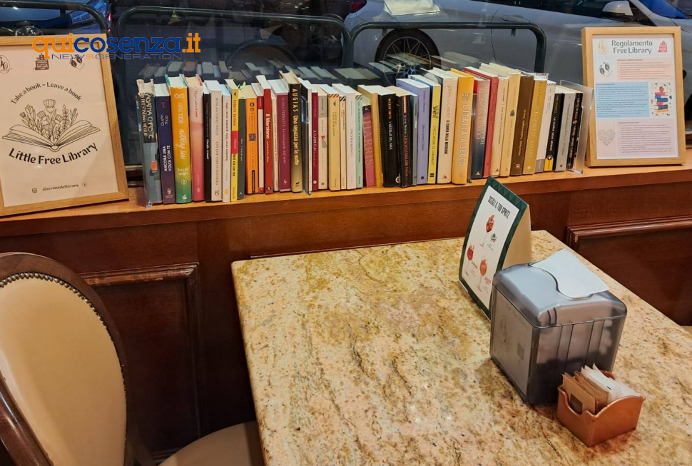 Free Library Cosenza2