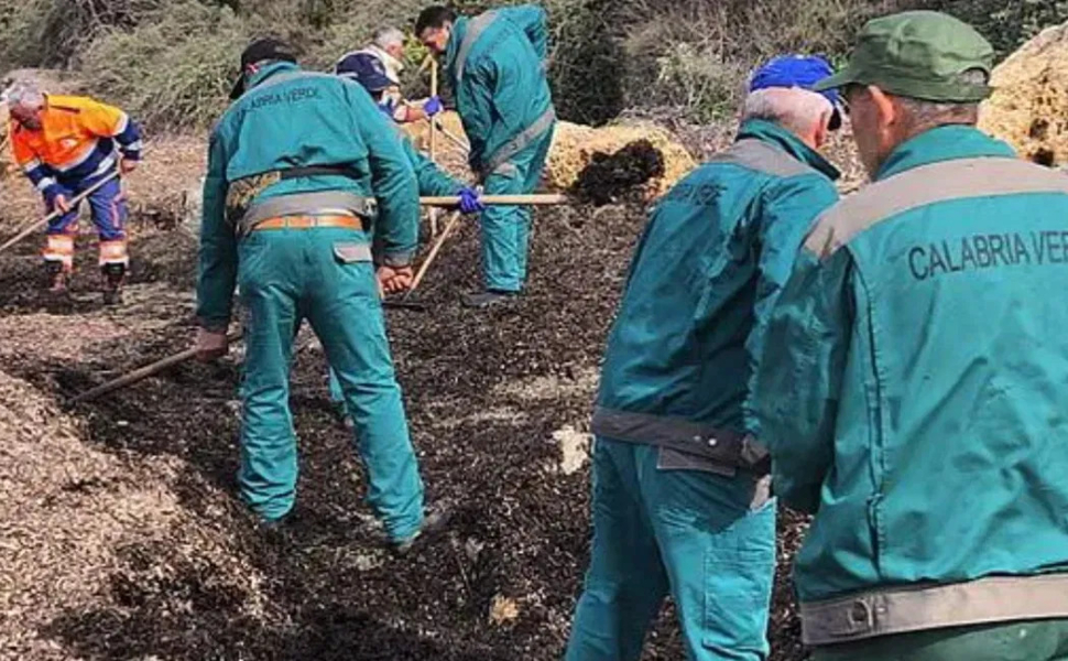 Operai-Calabria-Verde.