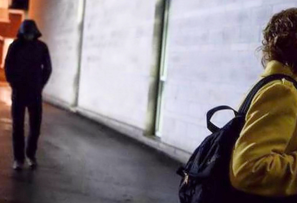 Malvivente donna minaccia