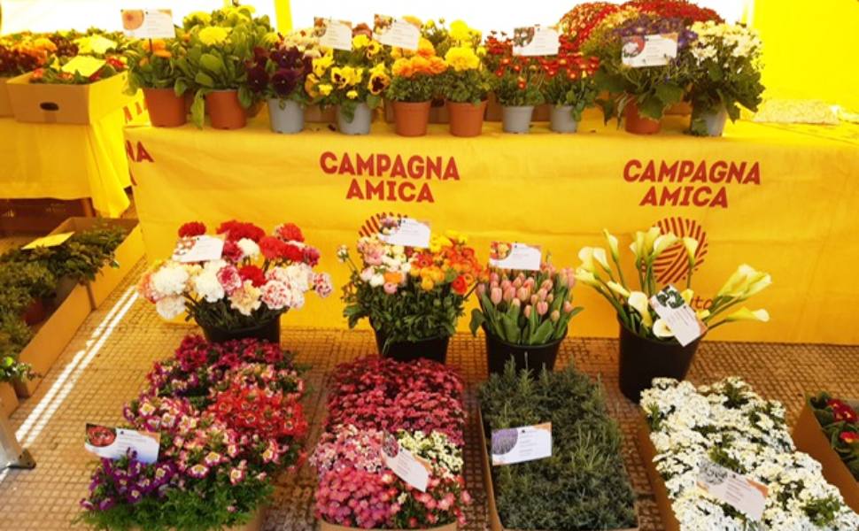 Fiori campagna amica cosenza