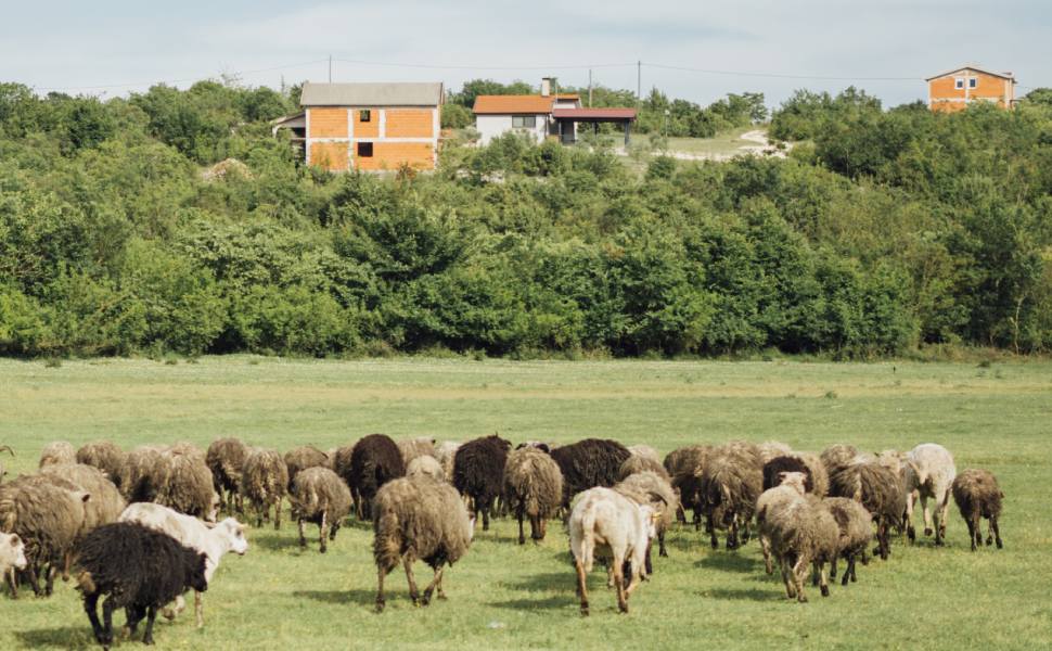 agriturismo generico