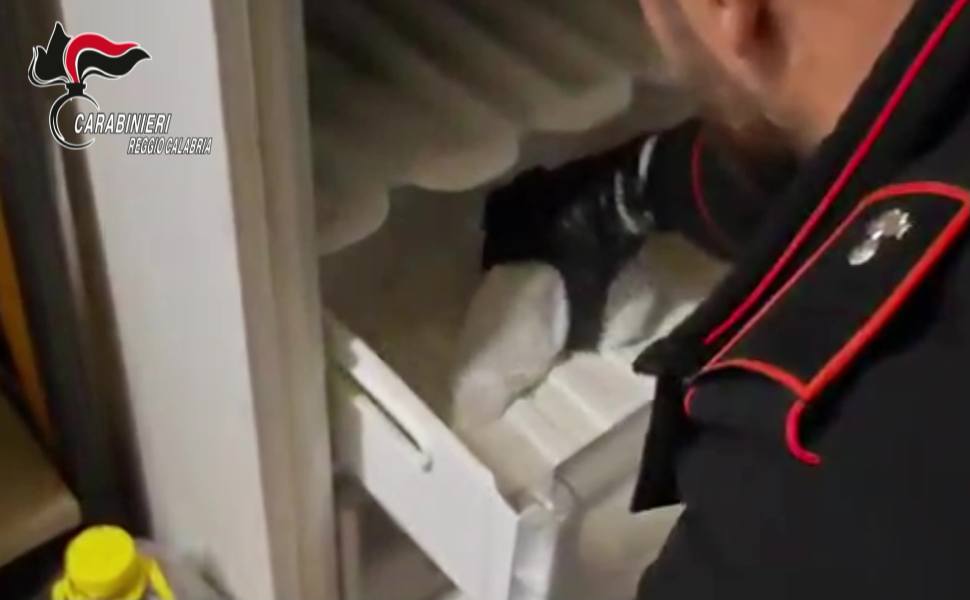 arma pozzetto freezer