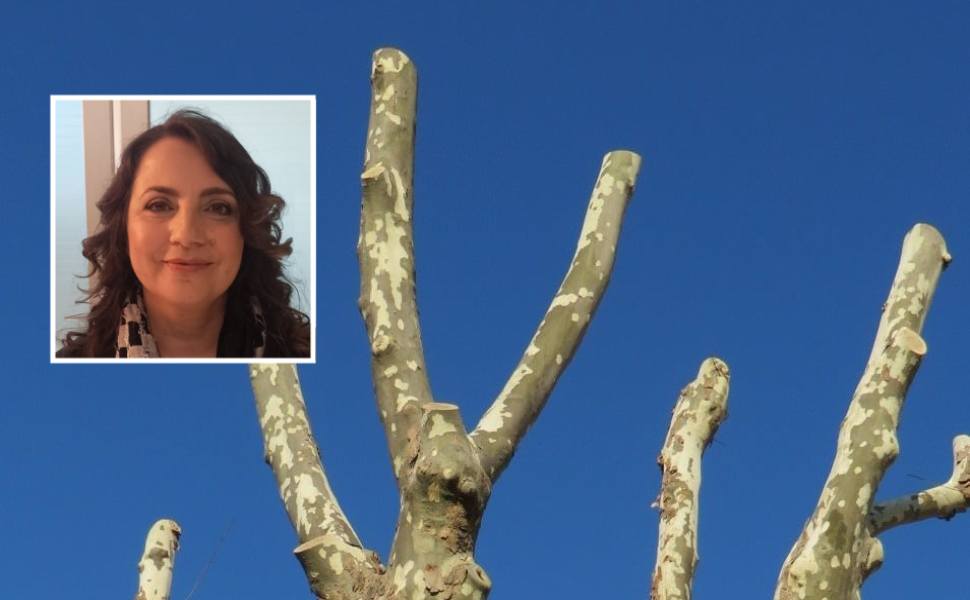 capitozzature alessandra bresciani