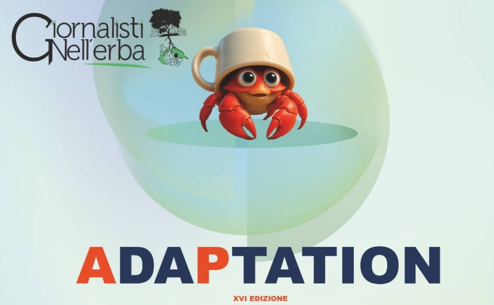 giornalisti nell erba