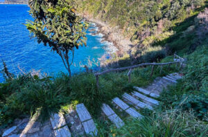 Cala Rovaglioso sentiero