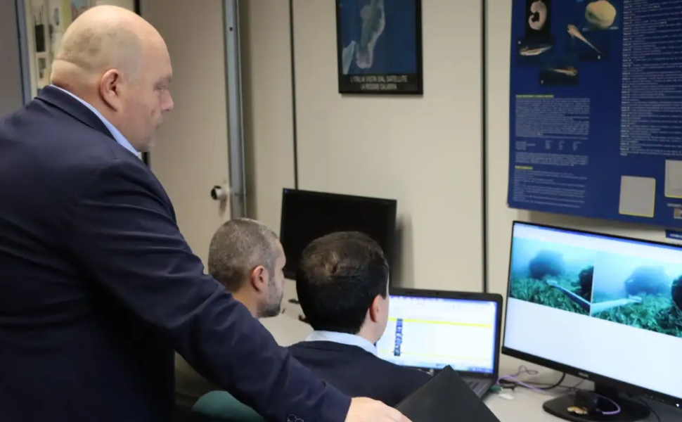 Emilio-Sperone_squali