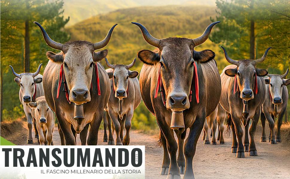 Transumando_Locandina