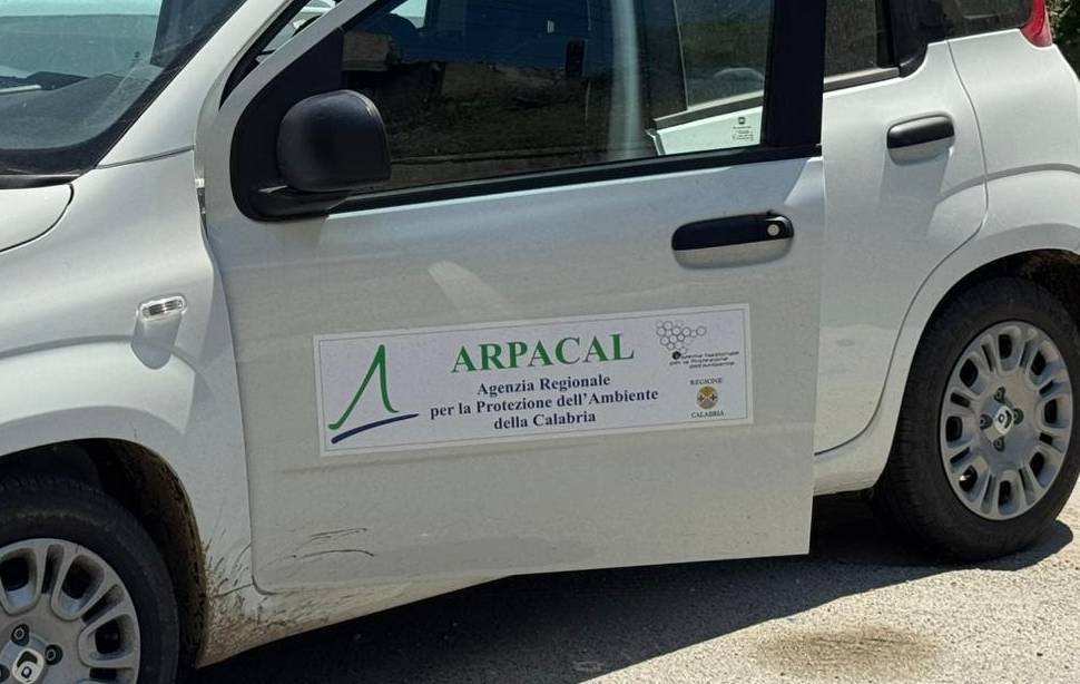 auto arpacal